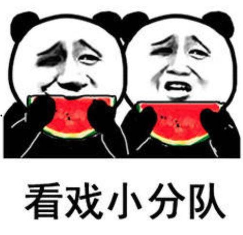娱乐吃瓜酱表情包,趣味横生的网络潮流